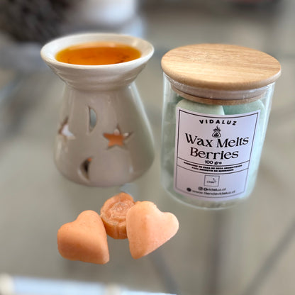Wax Melts (Bombones Aromáticos)